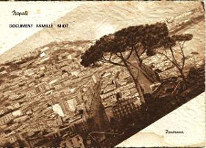 053 NAPLES Panorama